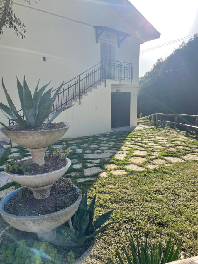 Morino B&B Fiume المظهر الخارجي الصورة